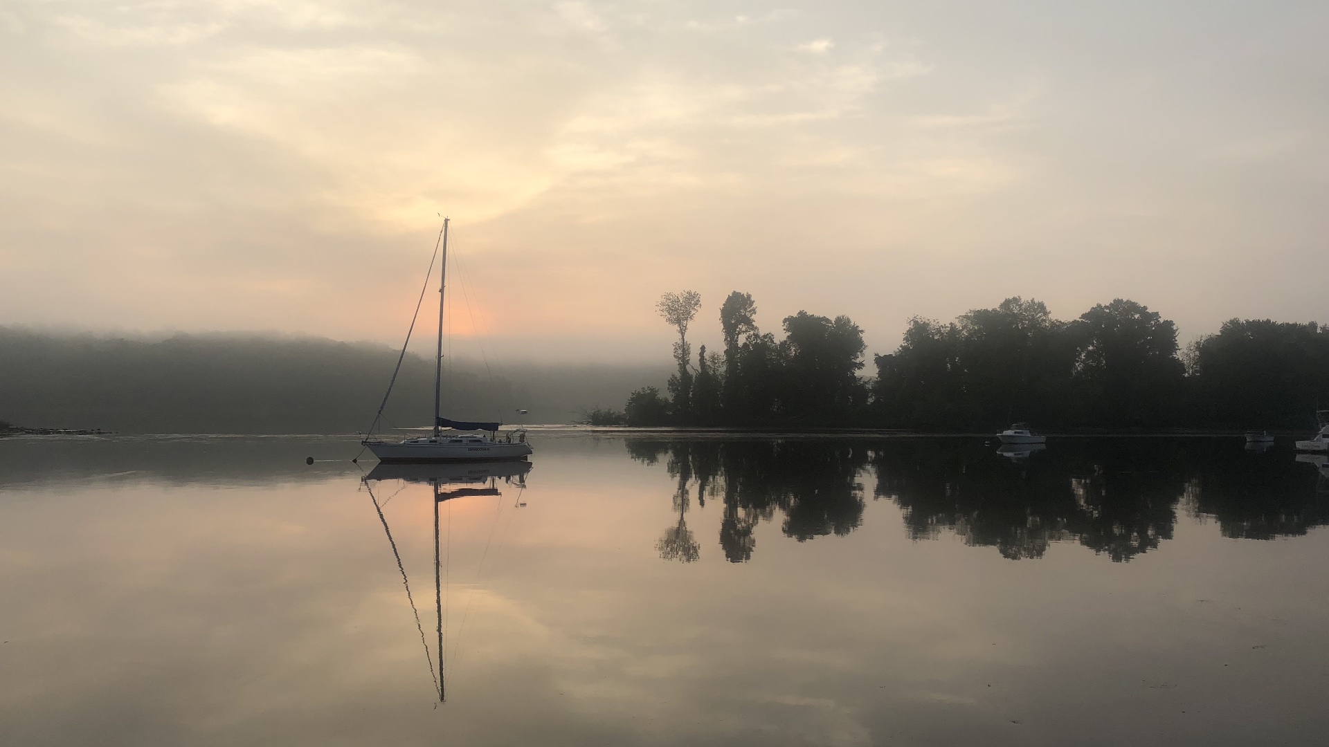 Single sailboat on a calm body of water surrounded by trees and mist