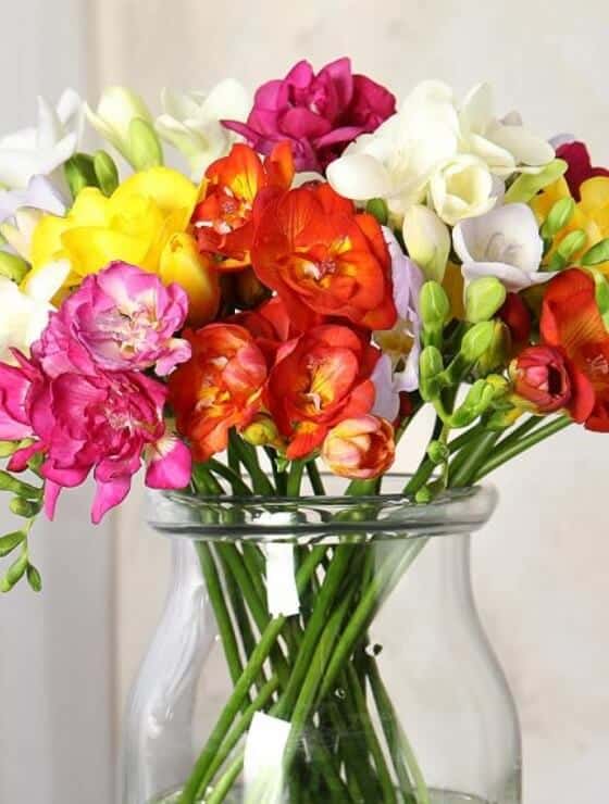 Glass vase holding a bouquet of brightly colored red, pink, white and yellow flowers